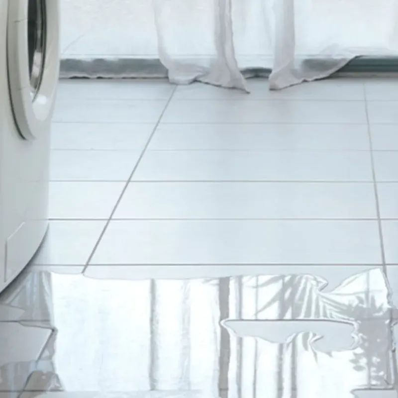 Appliance Leak Cleanup in Amite, LA