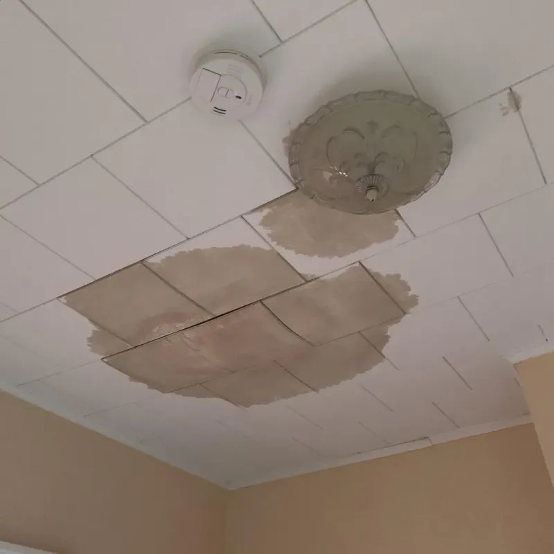 Ceiling Water Damage Repair in Amite, LA